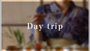 day trip